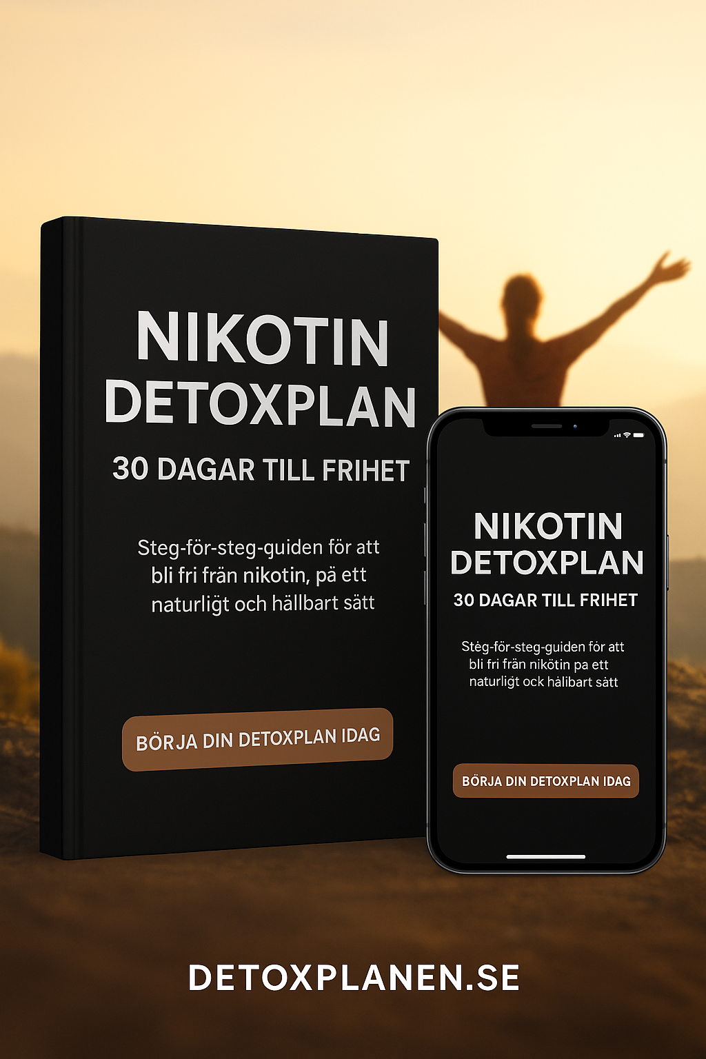 Nikotin Detox Plan